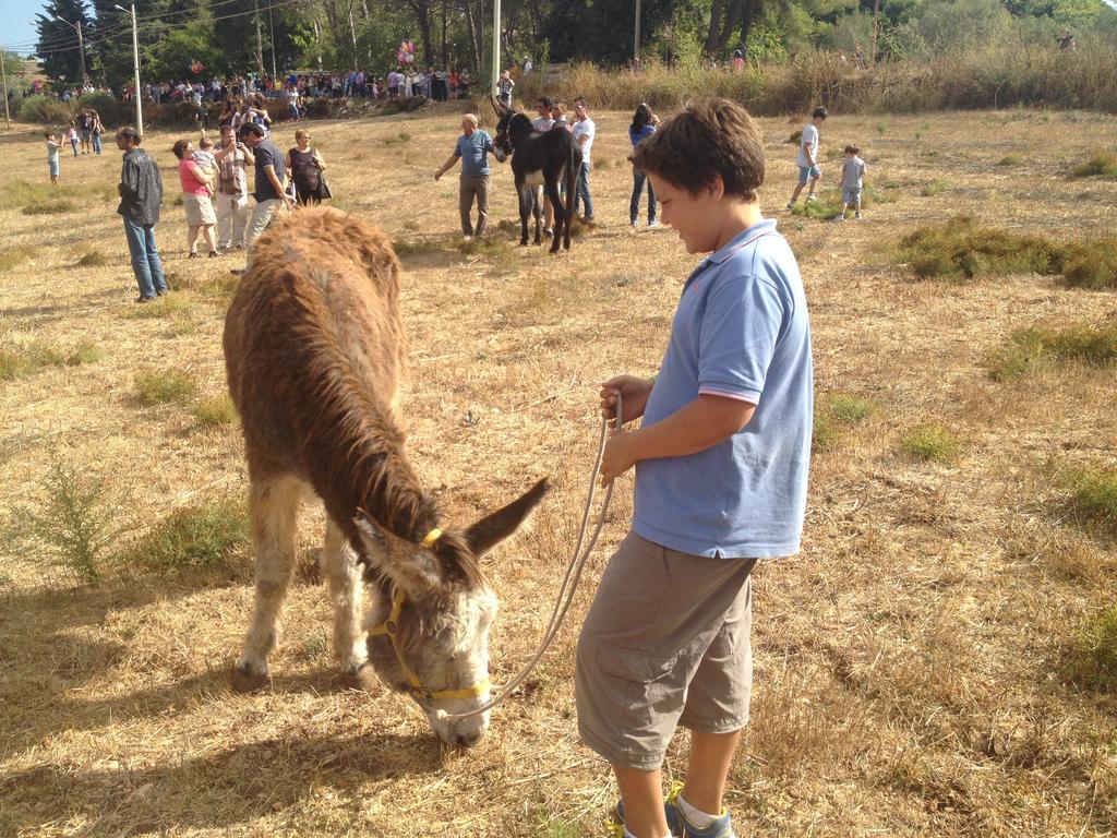 Agriturismo Vita E Natura Villa โนโต ภายนอก รูปภาพ