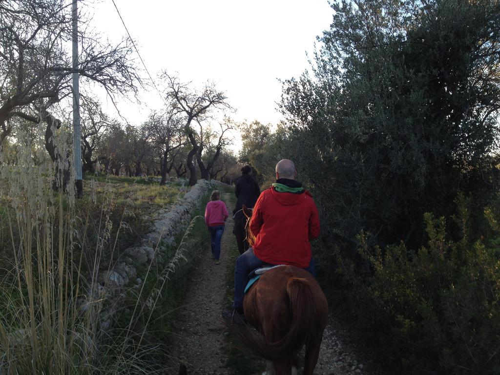 Agriturismo Vita E Natura Villa โนโต ภายนอก รูปภาพ