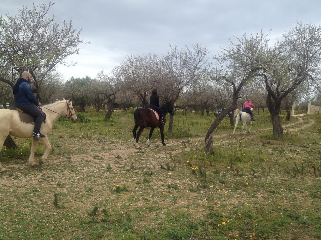 Agriturismo Vita E Natura Villa โนโต ภายนอก รูปภาพ