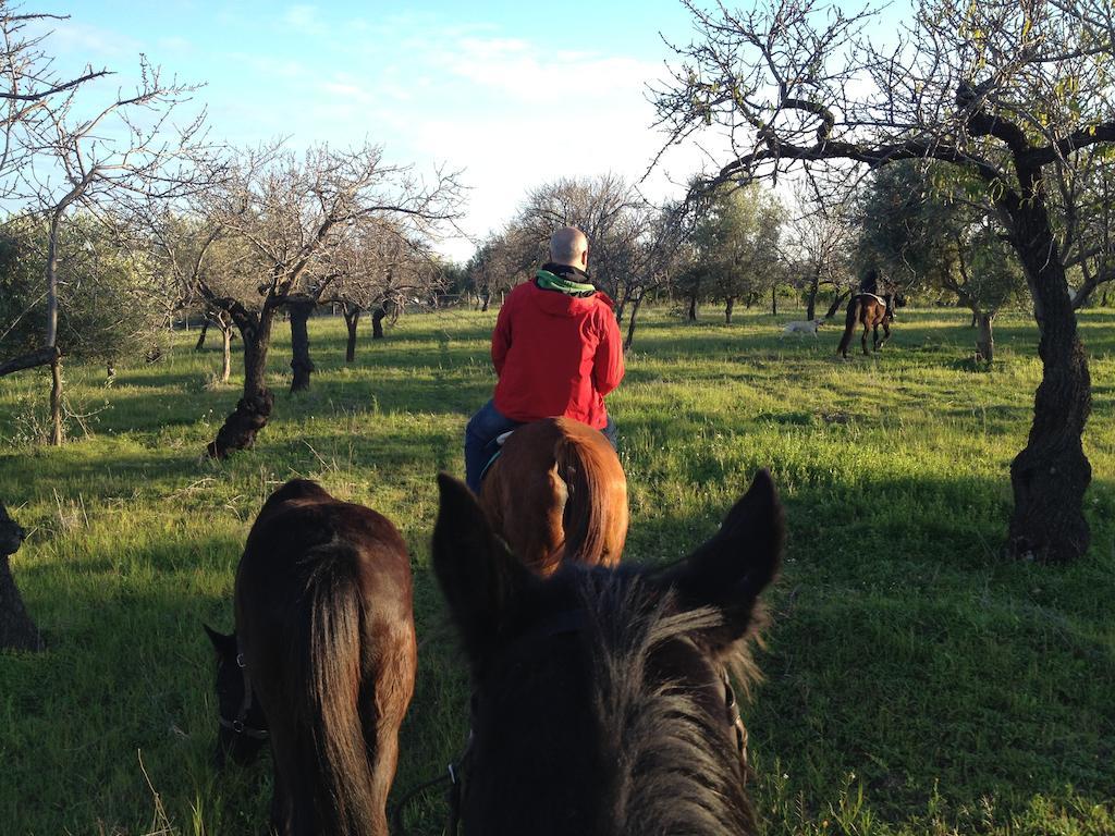 Agriturismo Vita E Natura Villa โนโต ภายนอก รูปภาพ