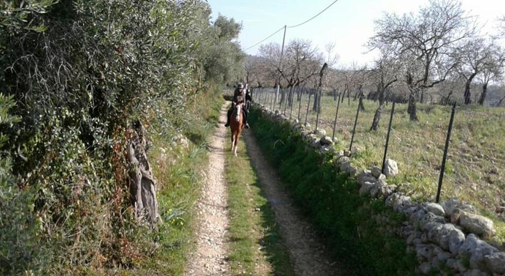 Agriturismo Vita E Natura Villa โนโต ภายนอก รูปภาพ